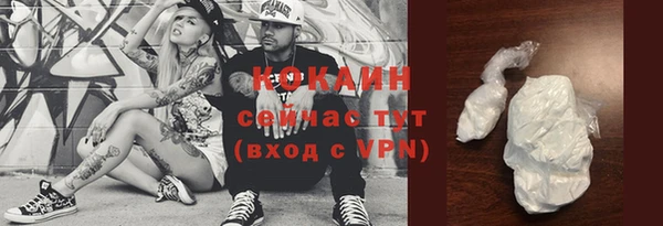 дмт Касимов