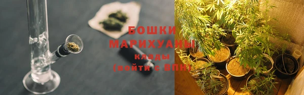 дмт Карпинск