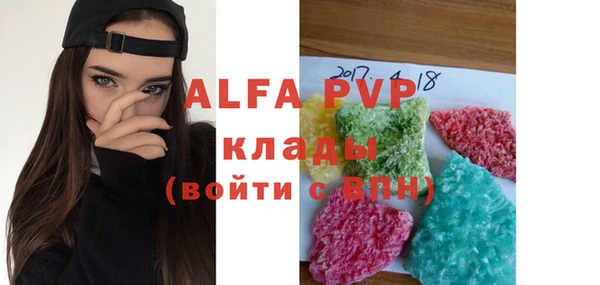 дмт Касимов