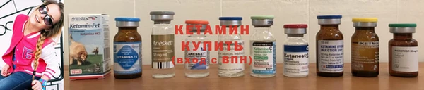 дмт Карпинск