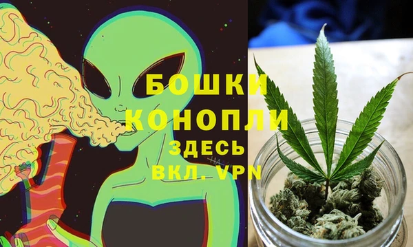 дмт Касимов