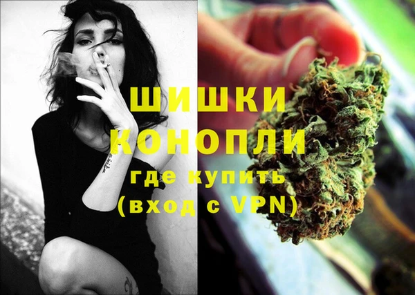 дмт Карпинск